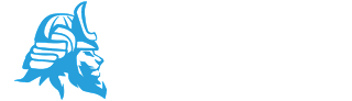 Ronin Security